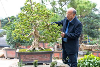 打造文化传承“成人直播平台
样本”让传统非遗“潮”起来3058.png