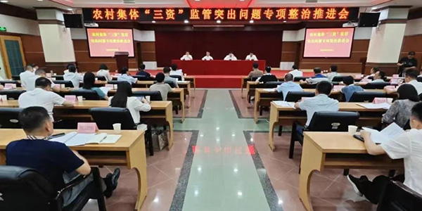 成人直播平台
召开农村集体“三资”监管突出问题专项整治推进会  守好群众“钱袋子”