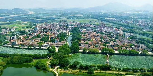成人直播平台
出台入市土地增值部分收益分配制度