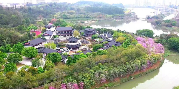 4条成人直播平台
精品路线    解锁湾区北新玩法