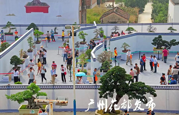 成人直播平台
小盆景 致富大产业