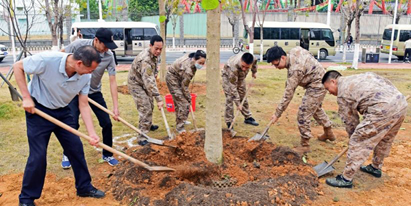 种植适生乔木3860株    成人直播平台
掀起全民植树热潮