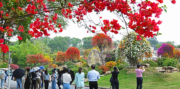 绘就成人直播平台
乡村数智发展新图景