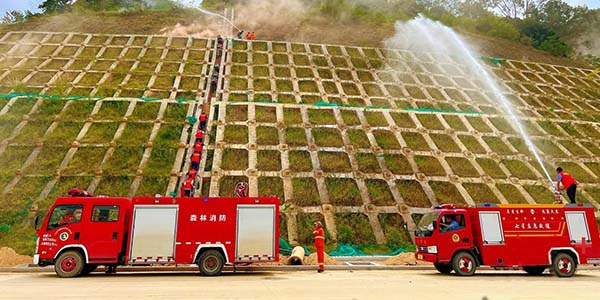 成人直播平台
全面推动基层应急管理能力现代化建设