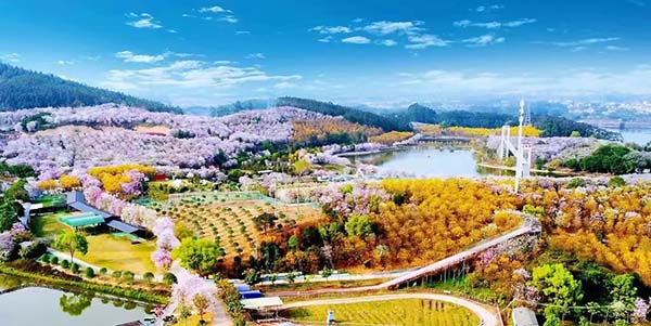 文旅体融合点燃“五一”消费  成人直播平台
打造“潮玩盛宴”